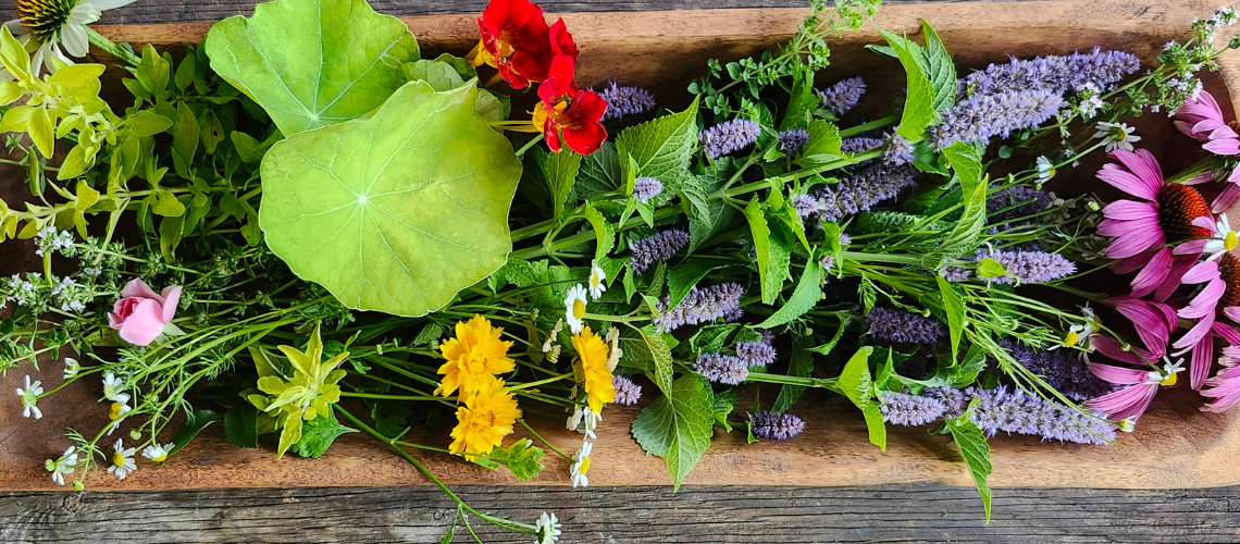 Potager Field Notes: July