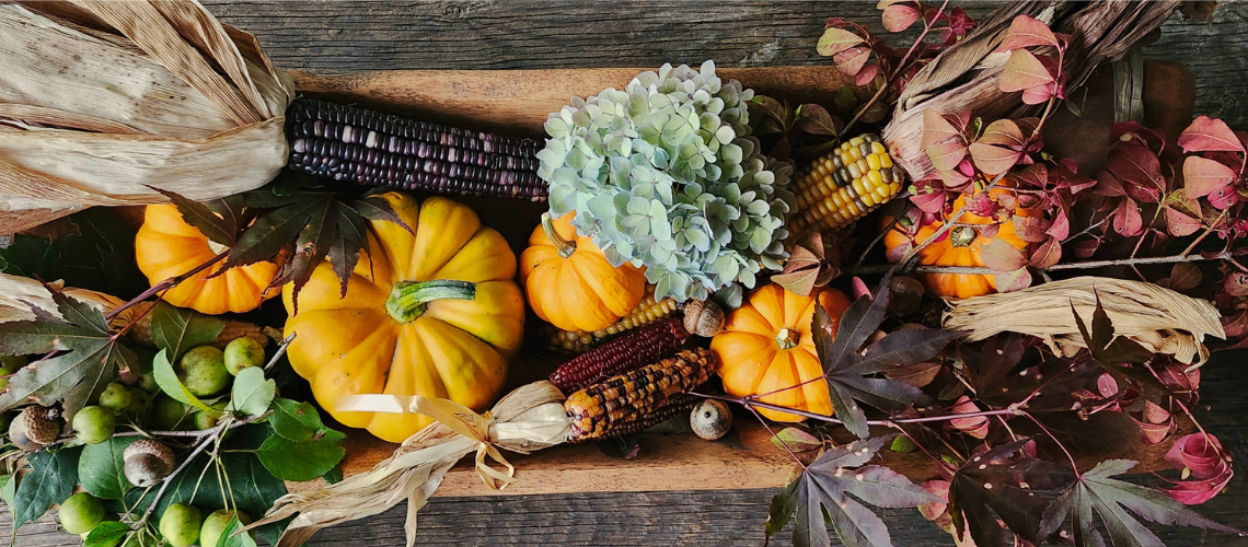 Potager Field Notes : Autumn Equinox