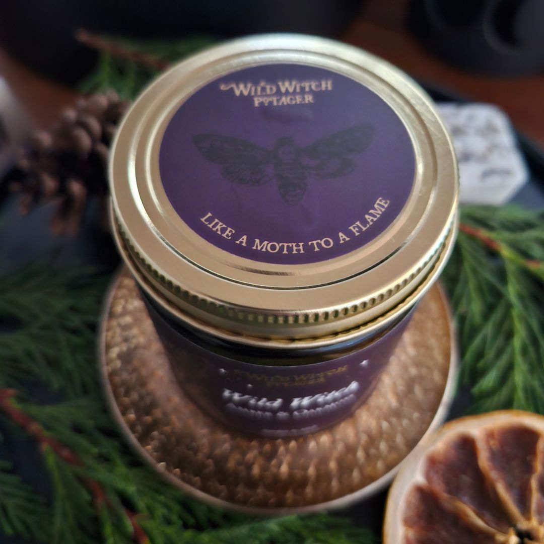 Wild Witch Collection Gift Box