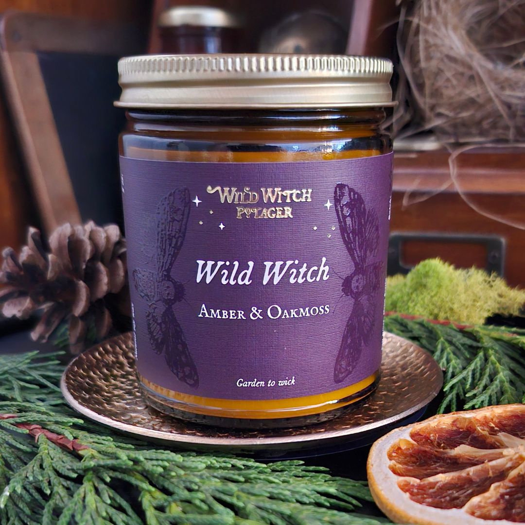 Wild Witch Collection Gift Box