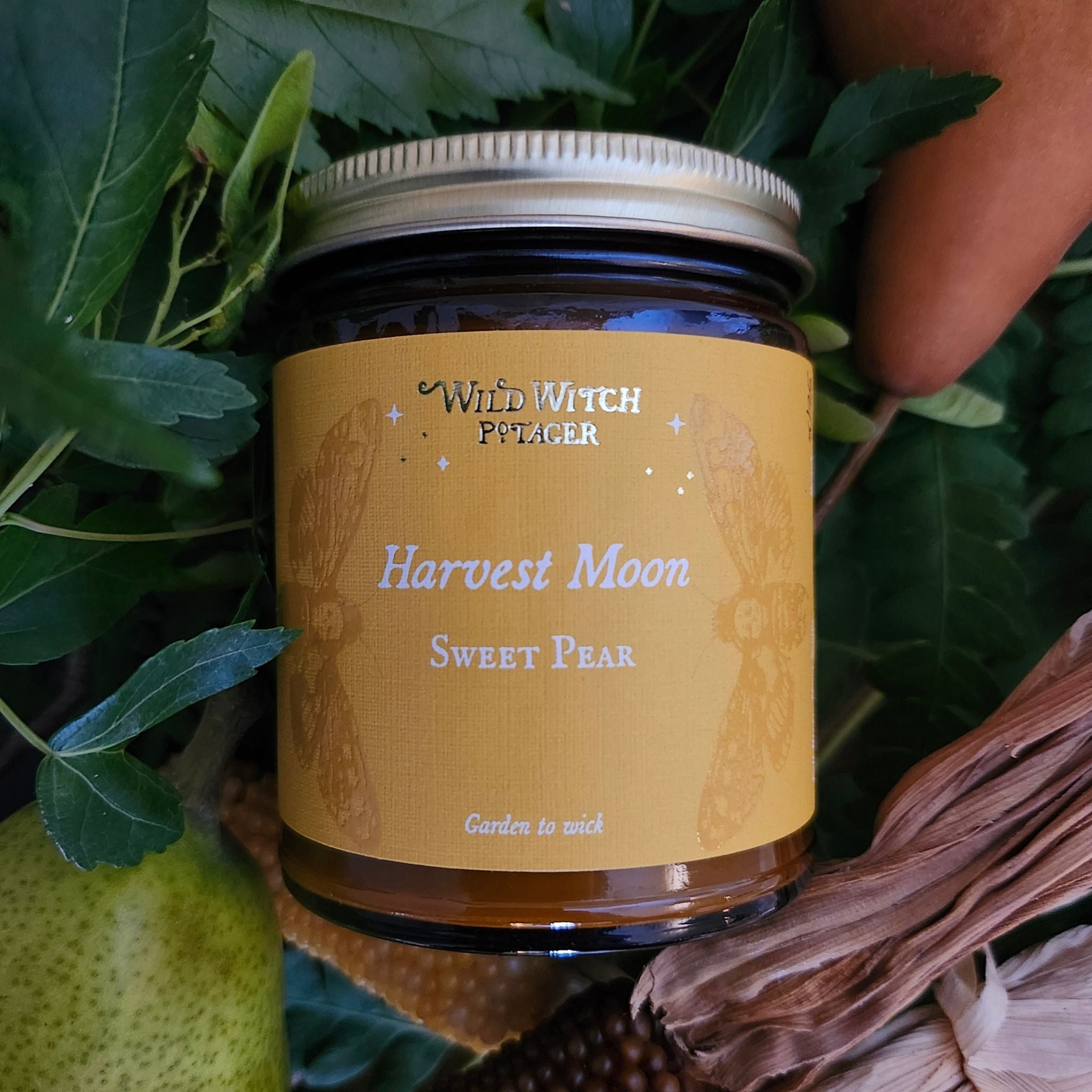 Harvest Moon