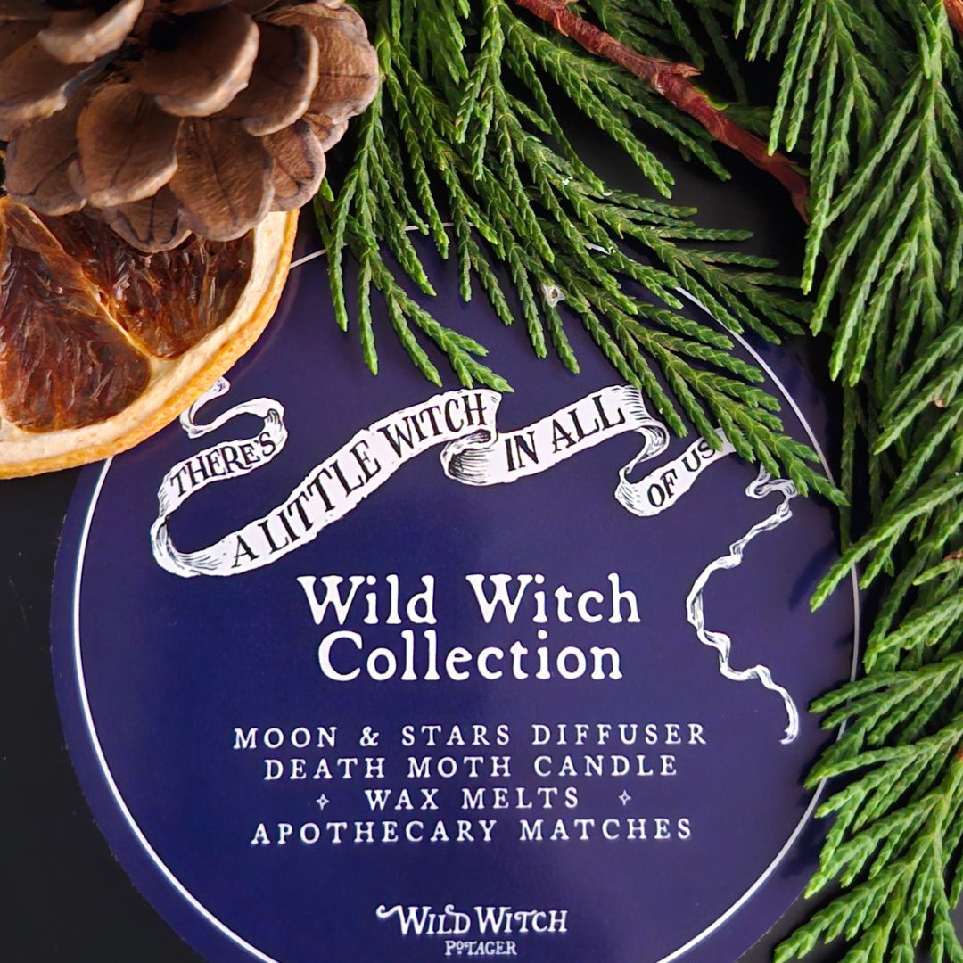 Wild Witch Collection Gift Box