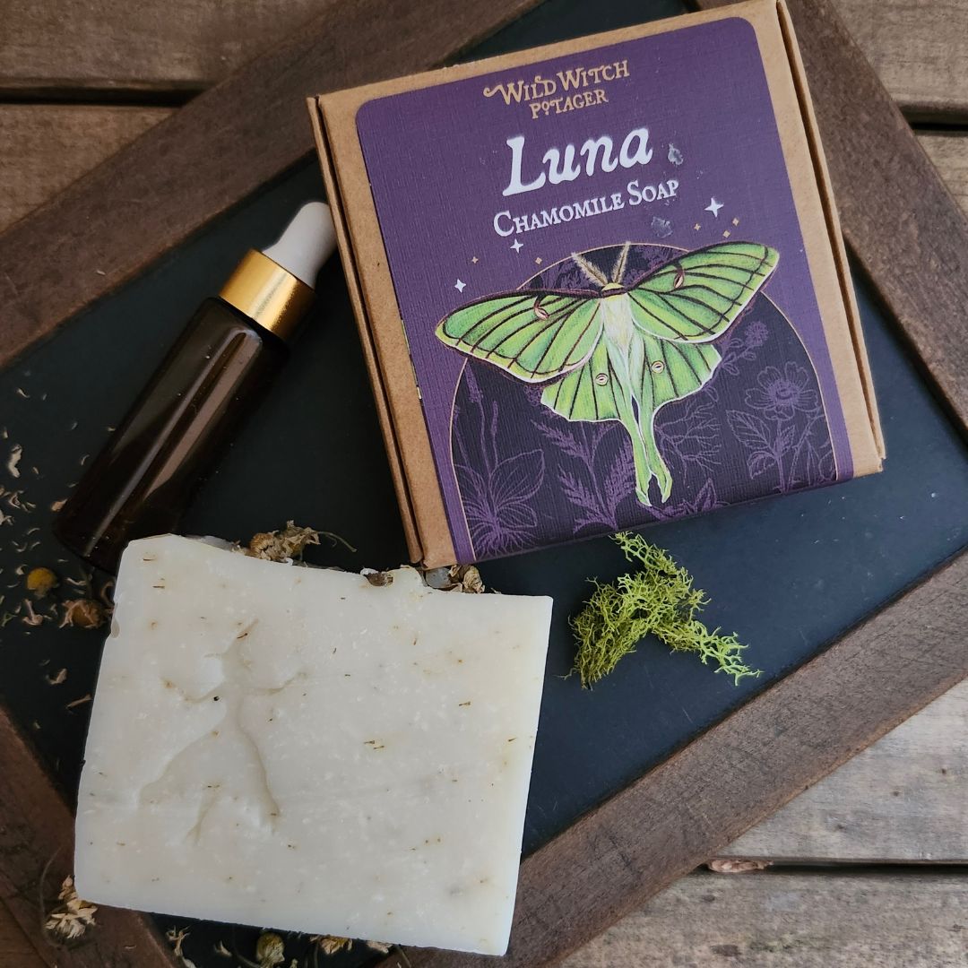 Wild Witch Apothecary Gift Box
