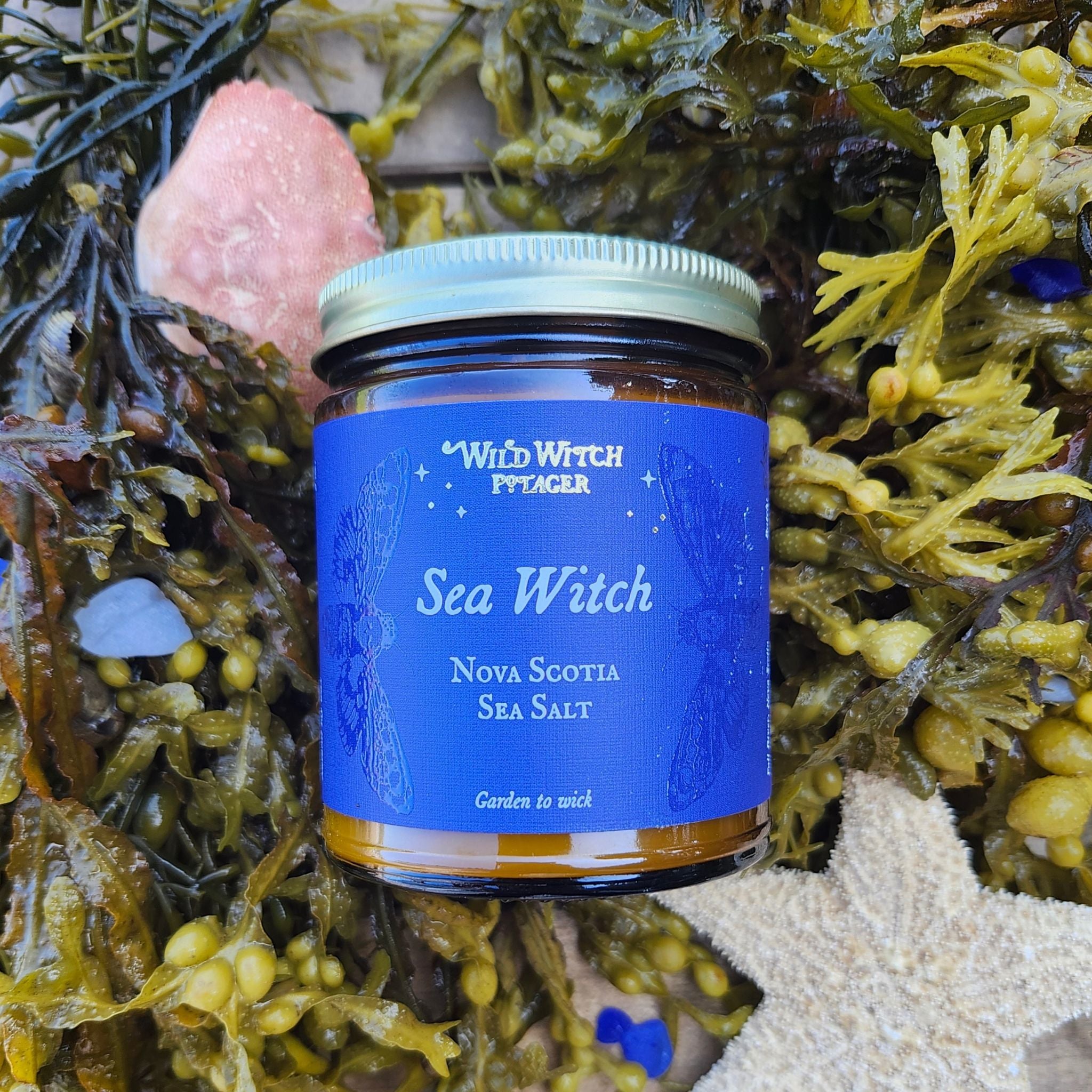 Sea Witch