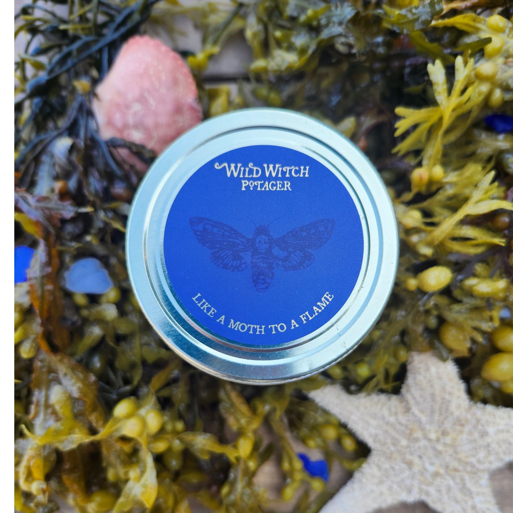 Sea Witch