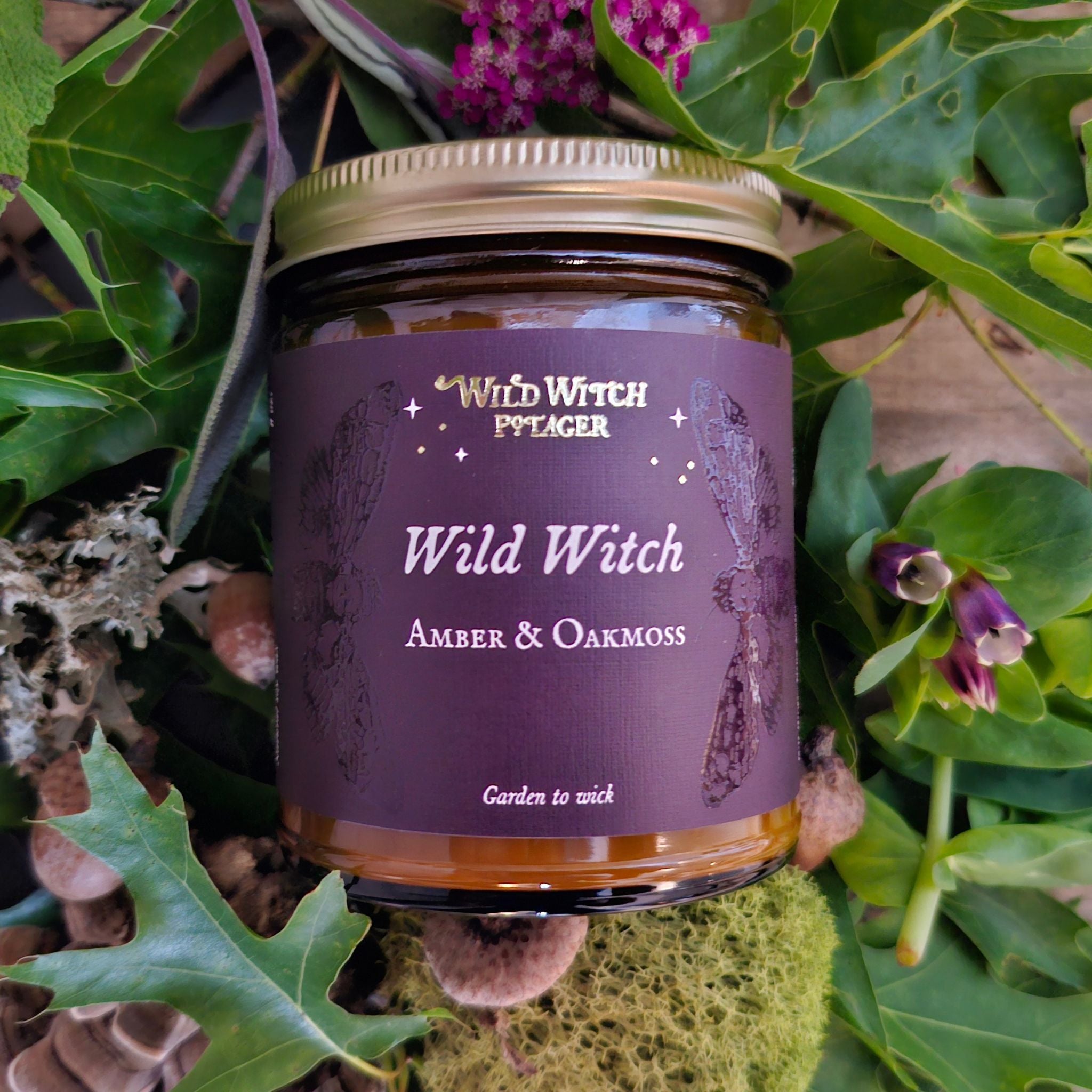 Wild Witch