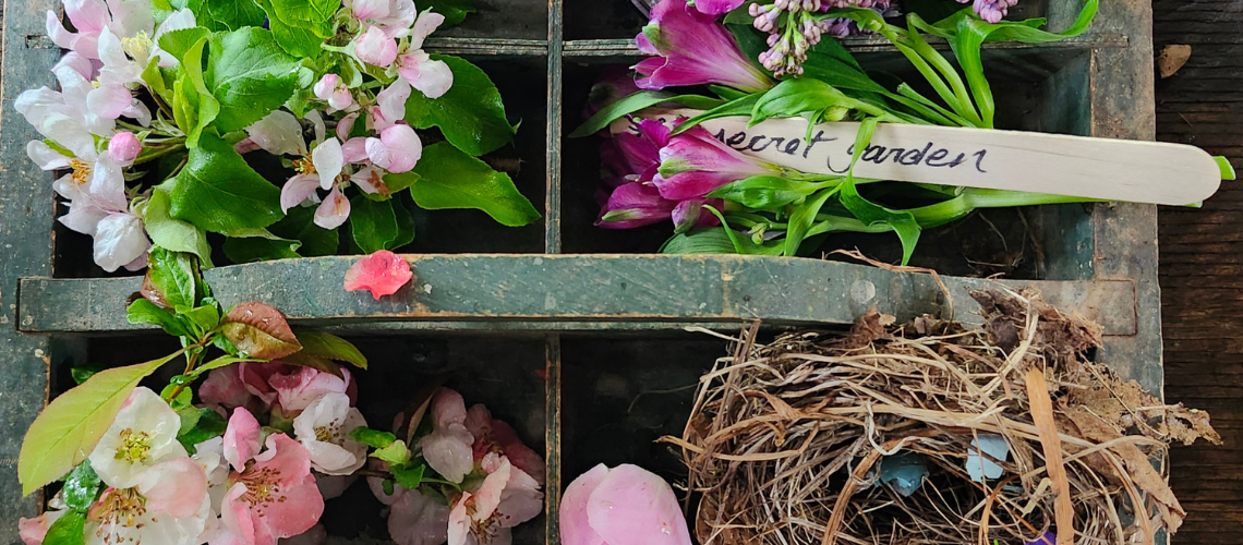 Potager Field Notes: May